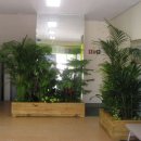 연일읍사무소 이미지