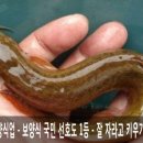 복권판매점황금손 이미지