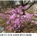 (시평) : 탁상 달력 이미지