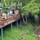 반디네허브 이미지