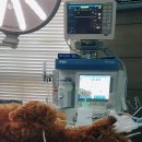 두리종합동물병원 이미지