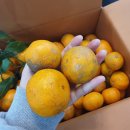 지승농장 이미지