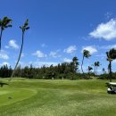 OK 골프클럽 | 하와이 골프 초보도 OK! 프린스골프클럽 코스별 난이도 장단점 리뷰