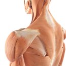 상록탑정형외과의원 이미지