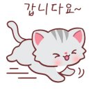 아우라단열 이미지