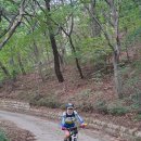 새미기재 환성사 이미지