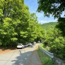 충주호 종댕이 | [충북 충주] 충주호 종댕이길 1구간, 심항산 - 가볍게...좋은 충주호의 대표 산 둘레길 코스안내, 후기