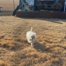 반려마루 동물병원 이미지