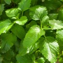 인천우리약국 이미지