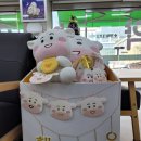 가까운태평양약국 이미지