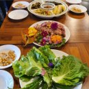 가야산오토캠핑장 이미지