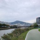 장보고회수산센타 덕천점 이미지