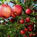 거창중앙고등학교 이미지