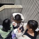 240122-240126 일본(도쿄) 여행