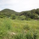 고금면-2 이미지