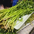 한영농장 이미지