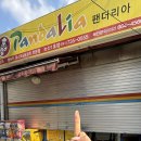팬더리아 이미지