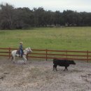 플로리다 농장 이미지