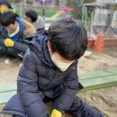 과학 - 시금치 모종 심기 🌳 이미지