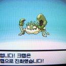 크랩