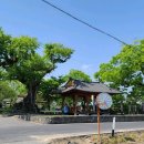 금강상회 이미지