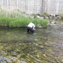 천등민박 이미지