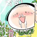 백방구
