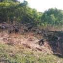 힘찬농장 이미지