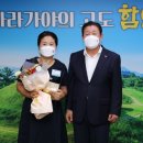 이그나이트 이미지