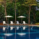 Cool 과일빙수 이미지