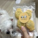 콩잇탱잇 네이버블로그