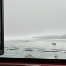 딩동댕향어회