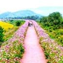 오늘은좋은날 이미지