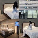 로얄맴버스 | 신혼부부 여름 침대 추천 평택 에이스침대 신상품 체험 후기