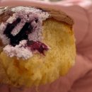 파주시청 이미지