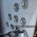 라지독스 이미지