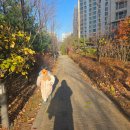 서해유치원 | 겨울시작이에요, 겨울에 내생일있지렁(유치원일반모집신청, 서해선, 입주박람회후기, 신시아삐삣버거...