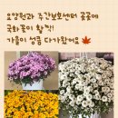 임곡요양원 이미지