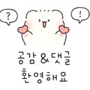 윤지애견 이미지