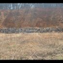 제부도공인중개사사무소 이미지