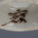 서이천로 853번길 1 이미지