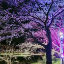 운봉읍보건지소 이미지