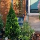 장미정원민박 이미지