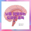 엔돌핀 네이버블로그