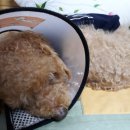 서현마을회관 이미지