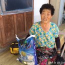 도사동사무소 이미지