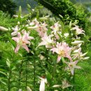 가산초교 이미지