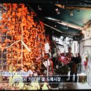 성도화훼 이미지