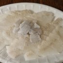 현대동카 이미지