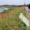 황룡강변 이미지